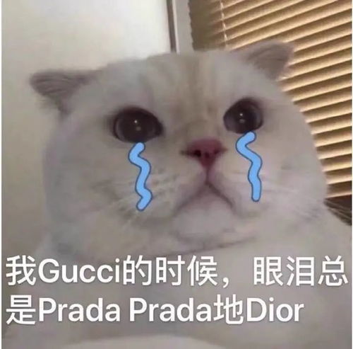 我月薪40000,把chanel包买成了彩虹