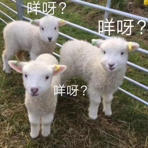 目瞪口呆表情包懒羊羊表情包