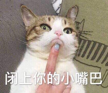 热门斗图表情包精选
