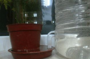 矿泉水瓶自制摘果神器