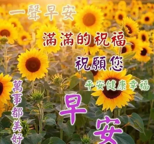 最新早上好表情图片问候语