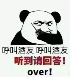 不要不要的表情包搞笑喝酒