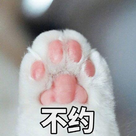 作为女生,你怎么能不来收这波表情包可爱又撩人,女生专用