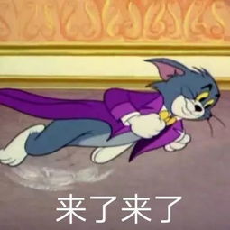 以前我没得选表情包表情