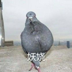 轻松一刻只要姿势够妖娆,病毒就追不上你