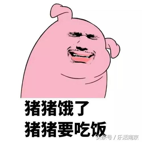 喂猪吃手表情包粉红猪