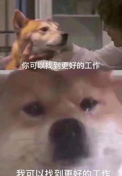 快递小哥双十一集体辞职,是尾款人的错吗