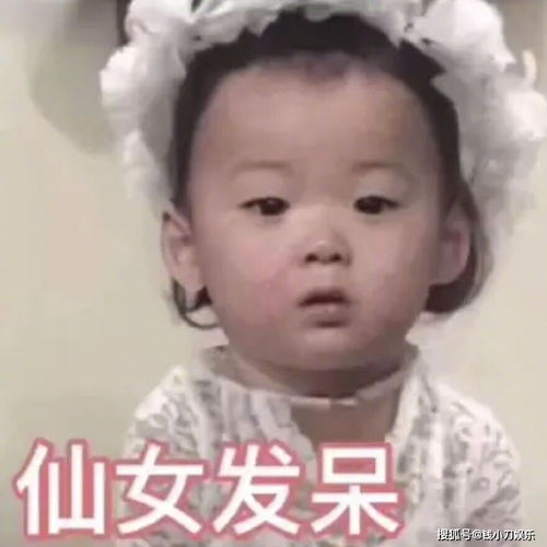 当家主母群演称猫被电亡,拍戏当天就埋了