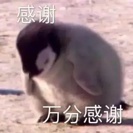 承蒙诸位关照的一年感谢