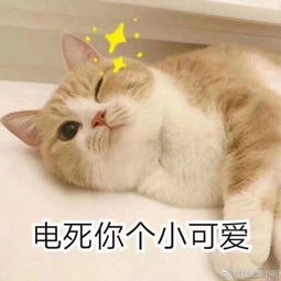 有什么适用于和老公男票撒娇的可爱表情包