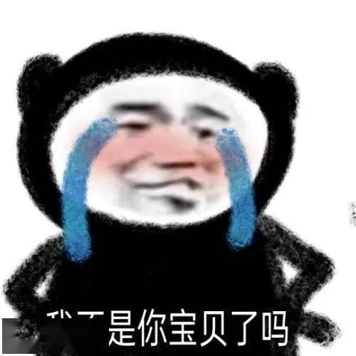 每日精选沙雕表情包
