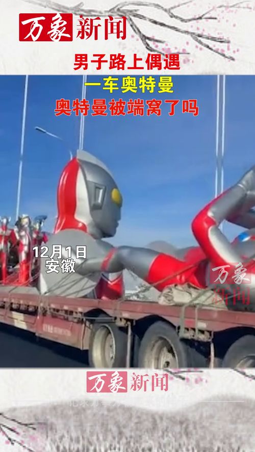 男子路上偶遇一车奥特曼,网友这是奥特曼被端窝了吗交通安全安全安全第一