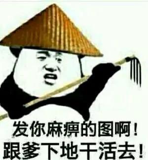 干活表情包