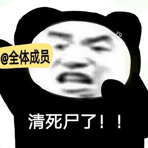 搞笑熊猫头表情包是是是你说的都对