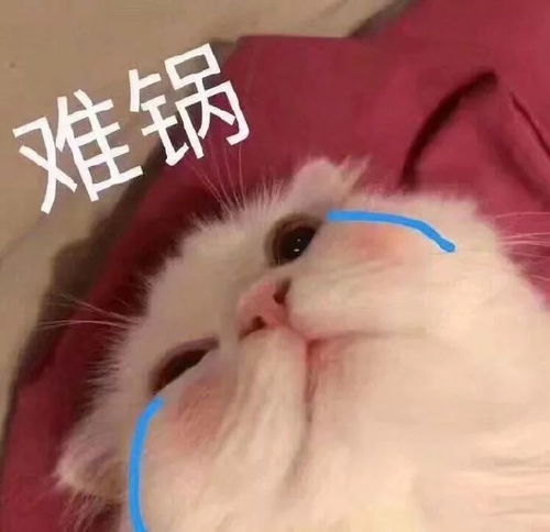 如果能重来,我一定不会让自己的脸有被认出来的机会