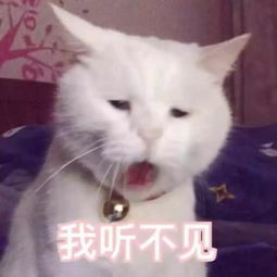 90斤和120斤的女人,穿同一件衣服有什么区别