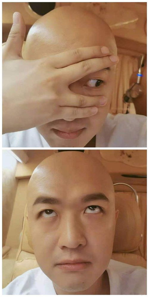 明星玩梗微信新的表情包,杨洋苏有朋包贝尔,谁更搞笑