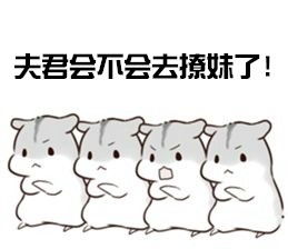 仓鼠夫君君表情包图片下载仓鼠夫君君表情包高清完整版下载飞翔下载