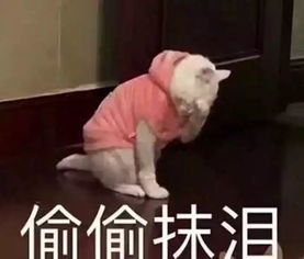 甲状腺结节发病率太高了癌变率也高是误解还是真相