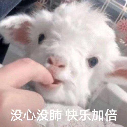 如何聊天,特别是开场白