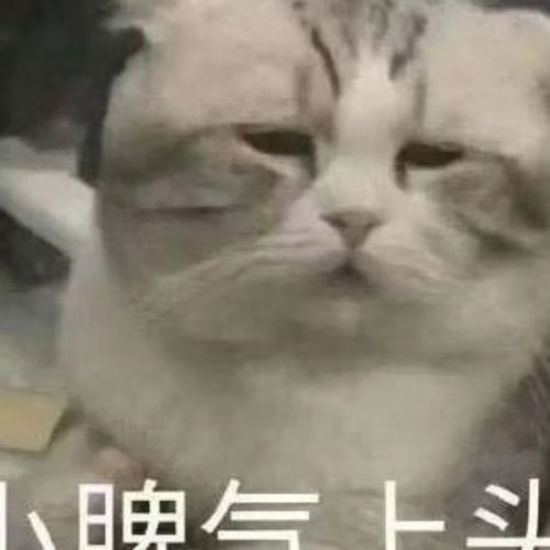 三侠五义第75回