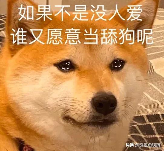 520浪漫背后舔狗们的心酸,舔到最后的后果是舔到一无所有