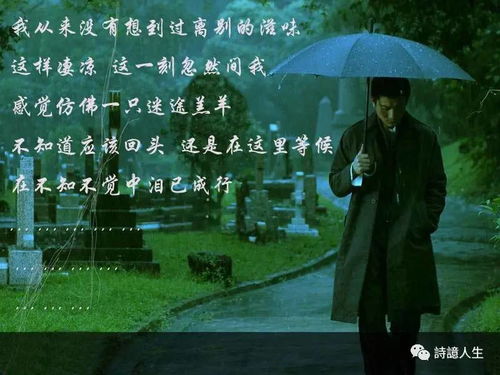 表情no.32思念诗缘诗社同题作品精选表情