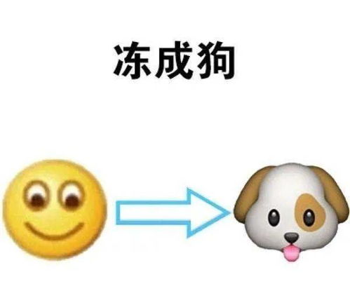 最低4,这个双休有点冷