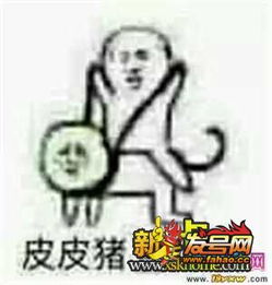 皮皮虾我们走是什么梗能这么火皮皮虾我们走表情包