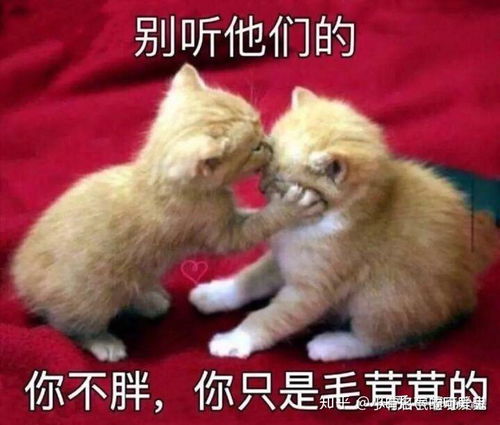 被男生搂在怀里是什么感受