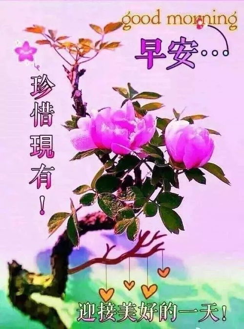 周日早晨好祝福语表情包早晨好图片全集