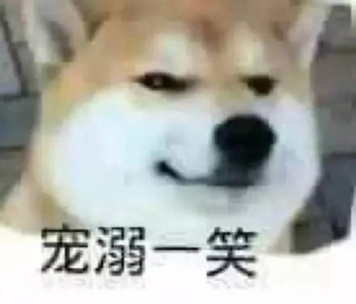 斗图表情包单身狗专场