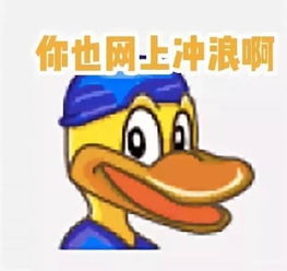 网上冲浪头像