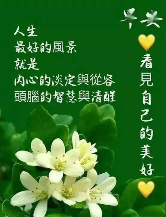 搜狐网