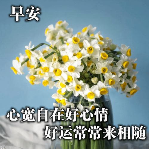 这表情包有毒,存到停不下来