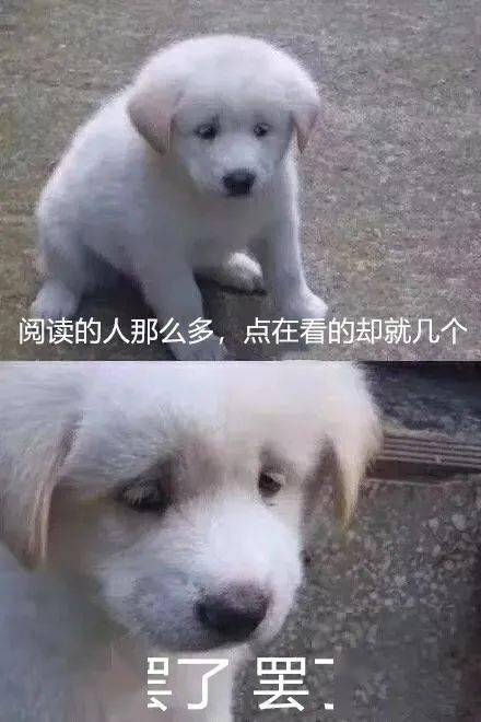 在某宝买了人鱼色连衣裙,把试穿照发给男朋友后......哈哈哈吓得目瞪口呆