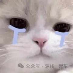 中国孩子最缺的是什么