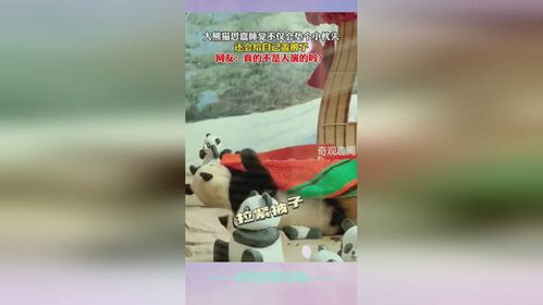 大熊猫睡觉不仅会垫个小枕头,还知道自己盖被子,网友真的不是人演的吗