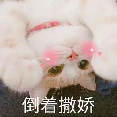 可爱的道歉文案