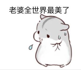 哄女朋友专用超有爱的表情包,老婆你想吃啥我都买