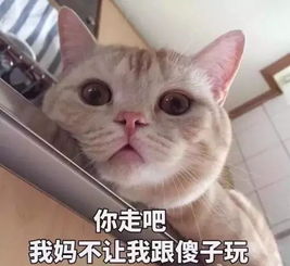 有点皮皮的朋友圈背景图