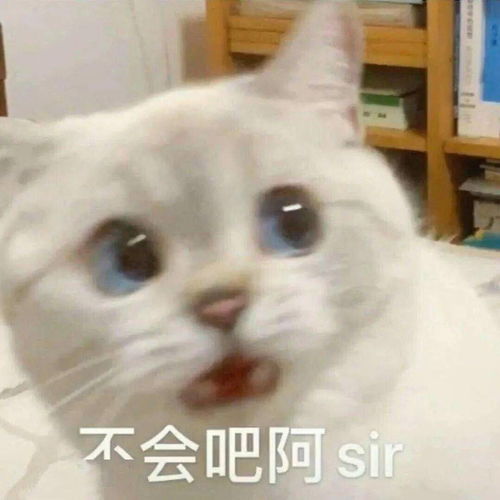 你会在车里开空调睡觉吗注意了,这样做小心一睡不起
