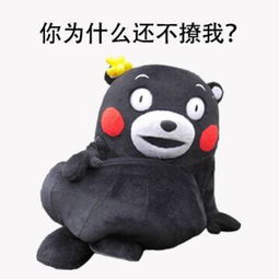 我来了你所需要的简书专题投稿及首页推荐须知