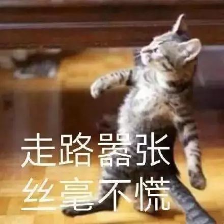 史上最全斗图装逼指南,给你们一个偷我表情包的机会