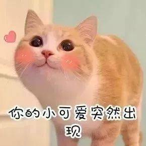 来看看2020年最后一个月的活动吧