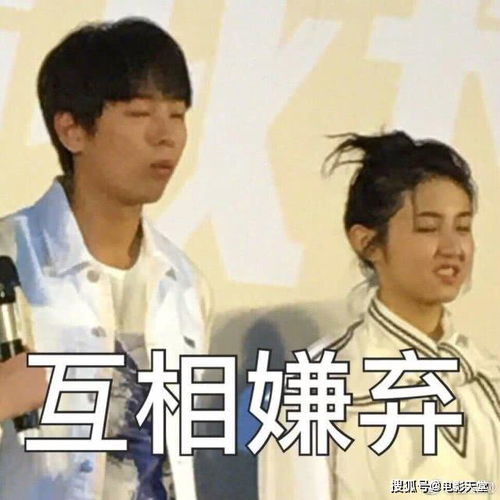 单依纯嫌弃表情包