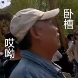 斗图界的夕阳红,这些爷爷奶奶表情包你收藏了吗