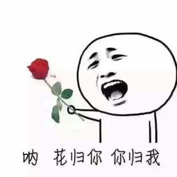表情包微信斗图