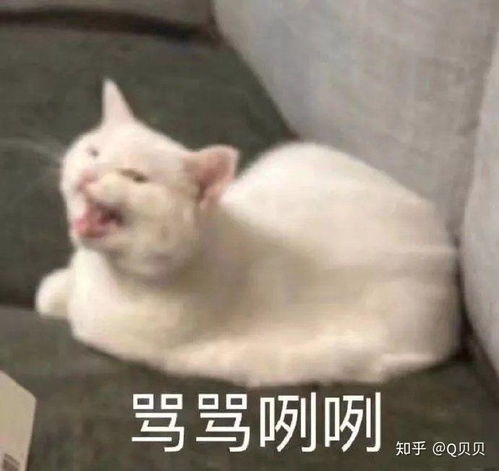 有没有能委婉表达愤怒的表情包