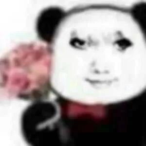 表情包搞怪龙图表情包